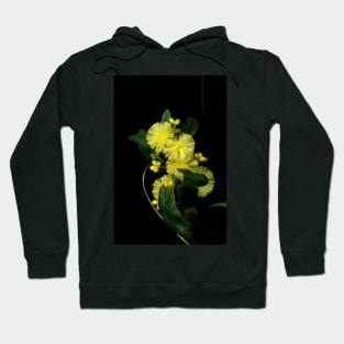 Spring Is Coming Hoodie